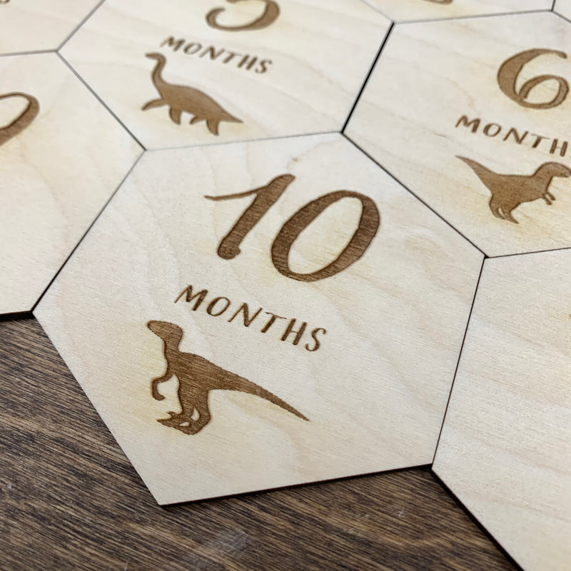 Baby Milestone Cards - Dinosaur Hexagon