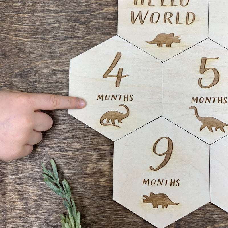 Baby Milestone Cards - Dinosaur Hexagon